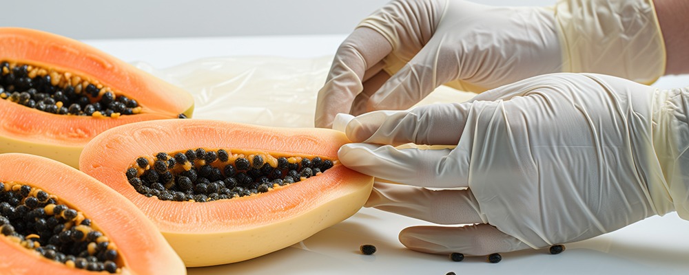 Read more about the article Exploring the Role of Papain in Vegan Protein Processing