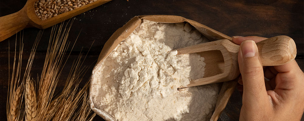 Read more about the article Enzyme-Based Fortification: Improving Protein Quality in Flour