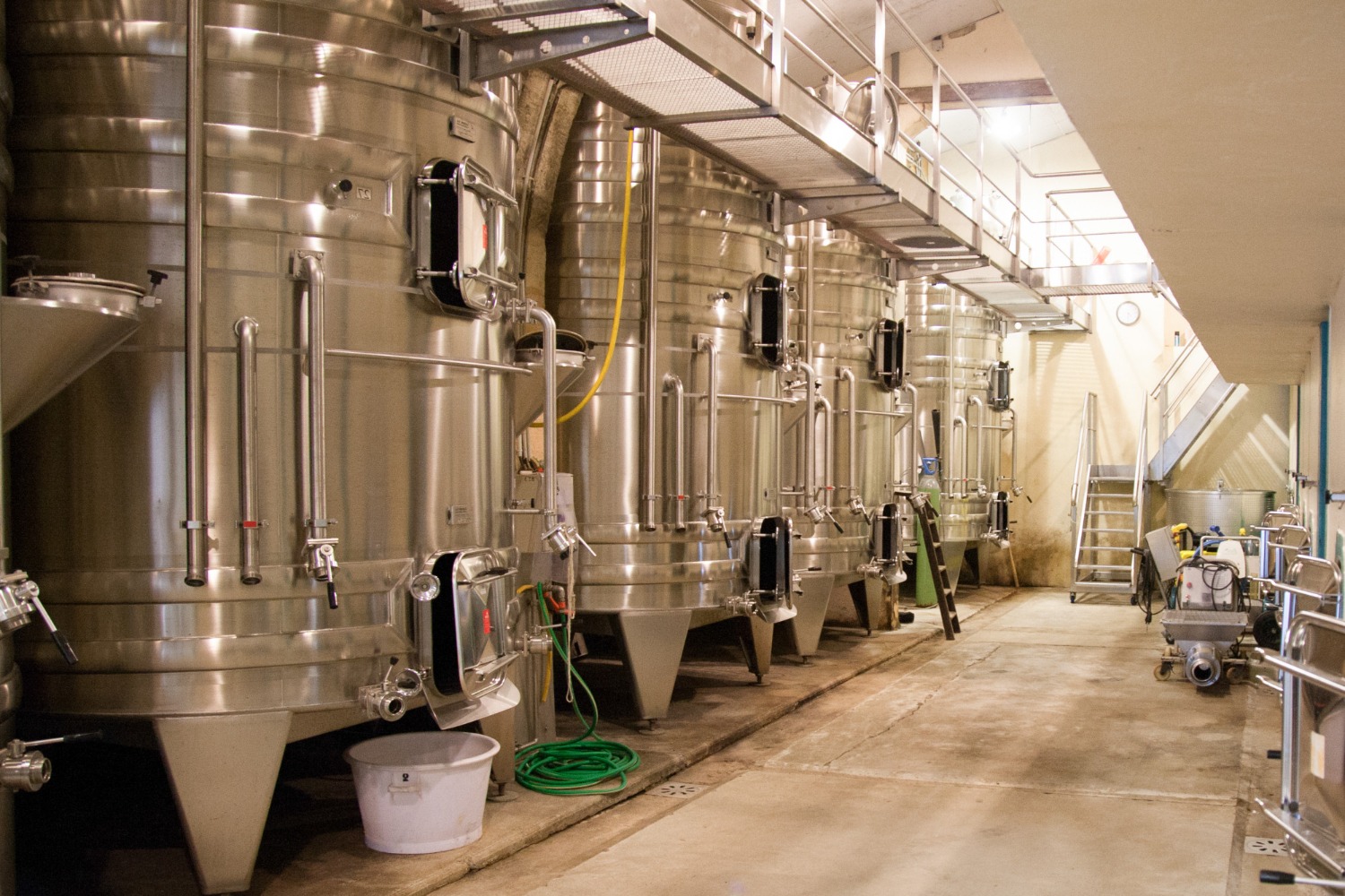 Read more about the article Enzymes for Distillery Molasses Industry: What Is Molasses, Industry Challenges, and Enzyme Types