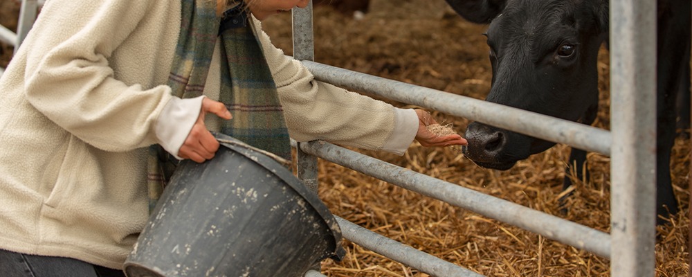 Read more about the article How Feed Enzymes Turn Low Cost Inputs into High Value Nutrition