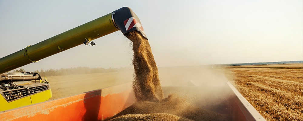 Read more about the article High-Efficiency Grain Distilling Starts with Enzymatic Liquefaction and Conversion