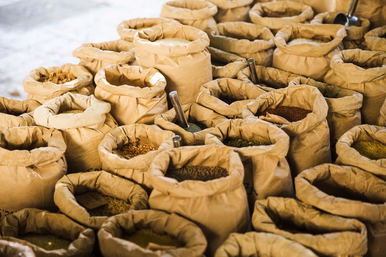 Read more about the article Enzymes for Feed Industry: Industry Challenges, Types of Enzymes, and How Enzymes Are Used