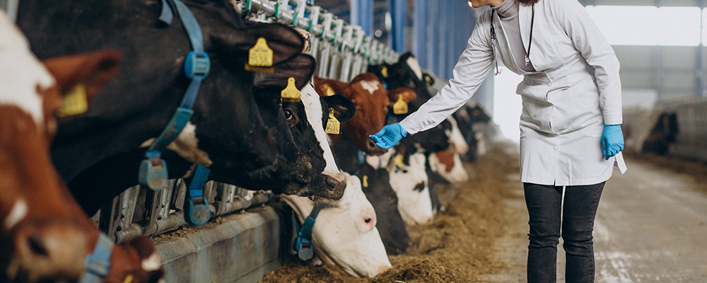 Read more about the article Enzyme-Enhanced Digestibility: Improving Animal Health and Productivity