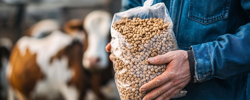 Read more about the article Enzyme Synergies That Transform Low-Grade Feed into High-Value Nutrition