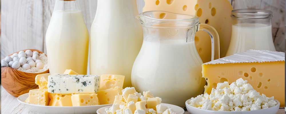 Read more about the article Enhancing Process Control and Product Quality in Dairy Fermentation Through Advanced Enzyme Technology