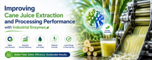 Read more about the article Improving Cane Juice Extraction and Processing Performance with Industrial Enzymes