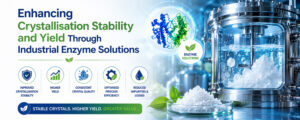 Read more about the article Enhancing Crystallisation Stability and Yield Through Industrial Enzyme Solutions