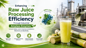 Read more about the article Enhancing Raw Juice Processing Efficiency Through Industrial Amylase Enzymes