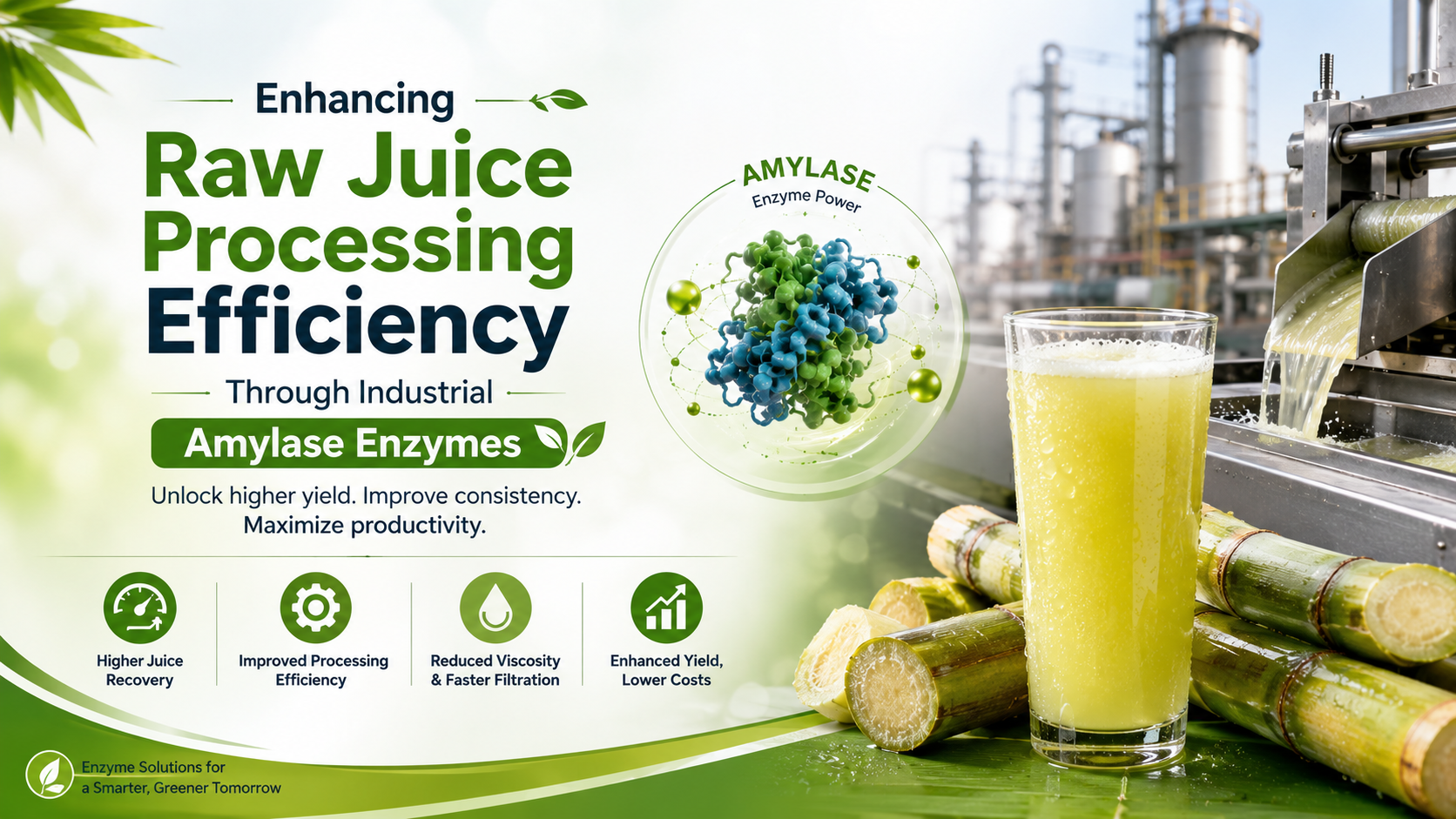 You are currently viewing Enhancing Raw Juice Processing Efficiency Through Industrial Amylase Enzymes