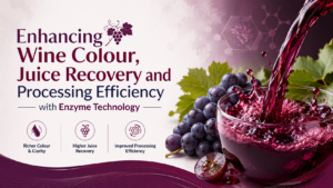 Read more about the article Enhancing Wine Colour, Juice Recovery and Processing Efficiency with Enzyme Technology