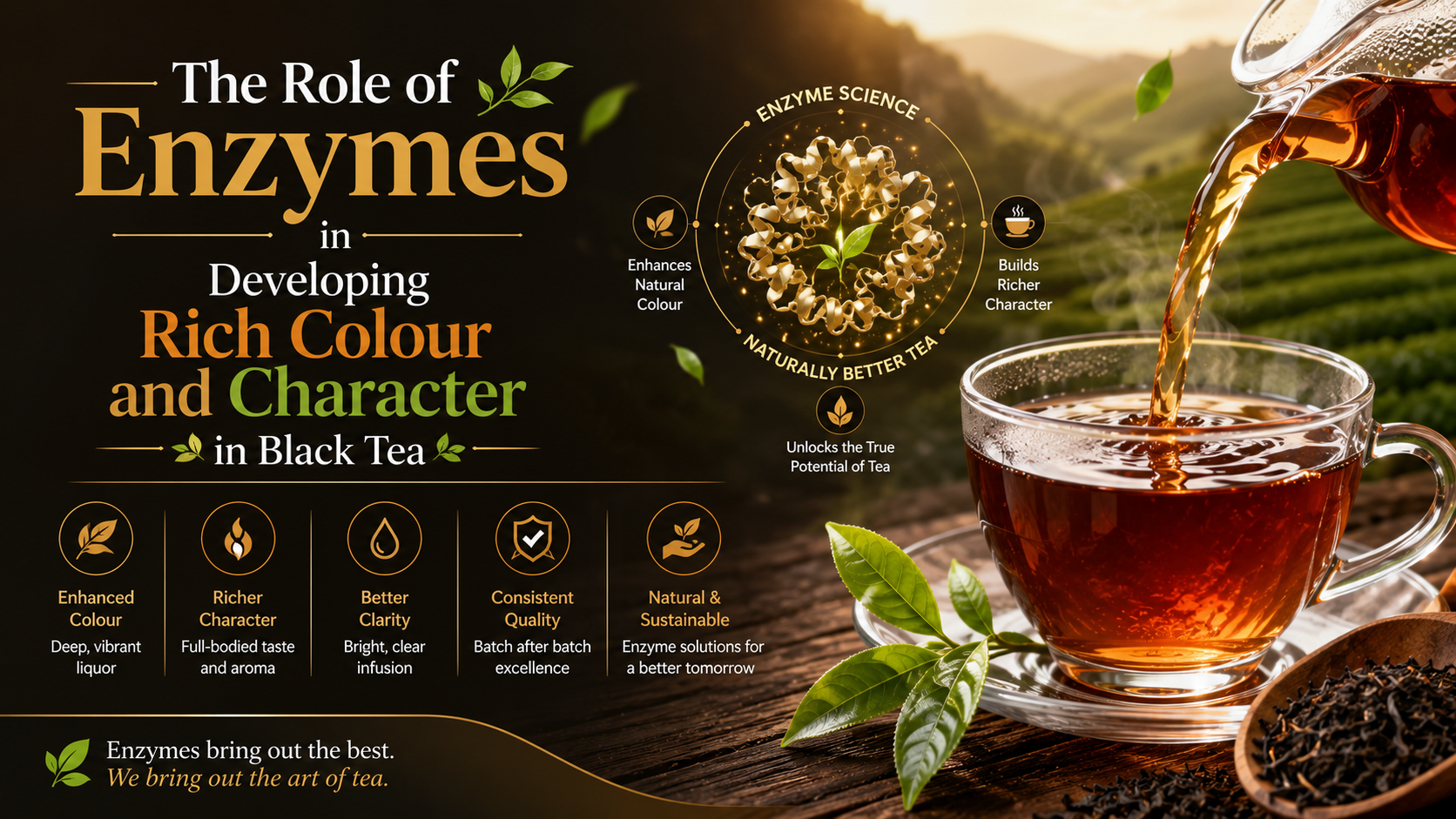 You are currently viewing The Role of Enzymes in Developing Rich Colour and Character in Black Tea