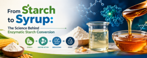 Read more about the article From Starch to Syrup: The Science Behind Enzymatic Starch Conversion