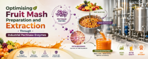 Read more about the article Optimising Fruit Mash Preparation and Extraction Through Industrial Pectinase Enzymes