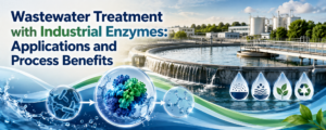 Read more about the article Wastewater Treatment with Industrial Enzymes: Applications and Process Benefits