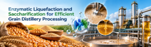 Read more about the article Enzymatic Liquefaction and Saccharification for Efficient Grain Distillery Processing