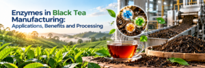 Read more about the article Enzymes in Black Tea Manufacturing: Applications, Benefits and Processing
