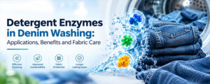 Read more about the article Detergent Enzymes in Denim Washing: Applications, Benefits and Fabric Care
