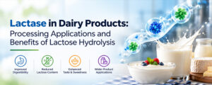 Read more about the article Lactase in Dairy Products: Processing Applications and Benefits of Lactose Hydrolysis
