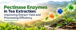Read more about the article Pectinase Enzymes in Tea Extraction: Improving Extract Yield and Processing Efficiency