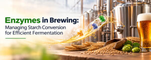 Read more about the article Enzymes in Brewing: Managing Starch Conversion for Efficient Fermentation